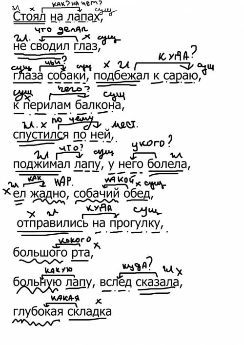 Графически обозначьте главное и зависимое слово.(у словосочетаний) стоял на лапах,не сводил глаз,гла