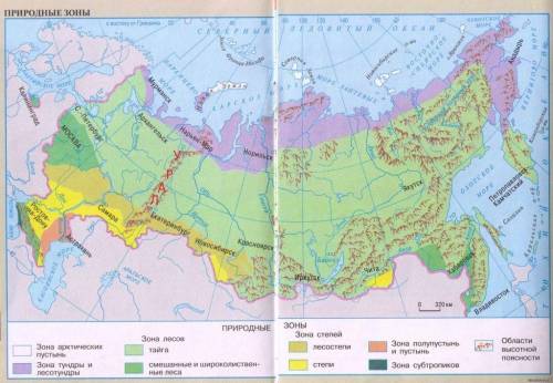 Это природная зона расположена к западу от уральских гор и на дальнем востоке. 20