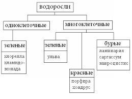 Заполните таблицу ''многообразие водорослей'' отдел водорослей пигмент строение и размножение значен