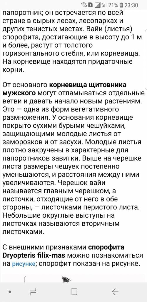 Особенности строения листьев и стебля : кукушкиного льна и щитовника мужского. гаметофит и спорофит: