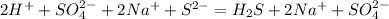 2H^{+} + SO_{4}^{2-} + 2Na^{+} + S^{2-} = H_{2}S + 2Na^{+} + SO_{4}^{2-}