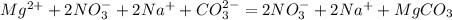 Mg^{2+} + 2NO_{3}^{-} + 2Na^{+} + CO_{3}^{2-} = 2NO_{3}^{-} + 2Na^{+} + MgCO_{3}