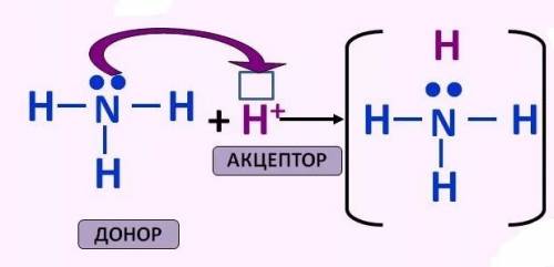 Один пример молекулы и один пример иона,в которых реализуется донорно-акцепторный механизм.изобрази