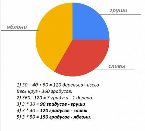 Всаду растет 30 груш 40 слив и 50 яблонь.постройте круговую диаграмму по этим даным