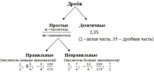 Какие есть простые правильные дроби?