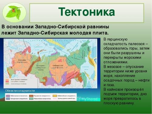 Какая тектоническая структура лежит в основании территории западно-сибирской низмености