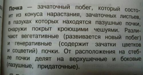 Какие типы почек встречаются у растений, какие функции они выполняют?