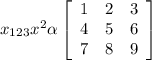 x_{123} x^{2} \alpha \left[\begin{array}{ccc}1&2&3\\4&5&6\\7&8&9\end{array}\right]