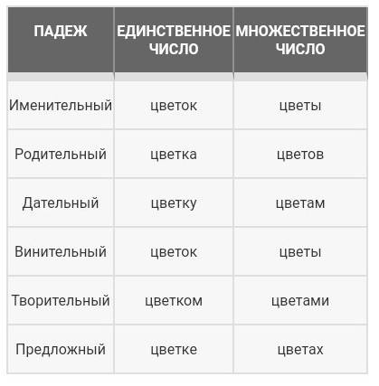 Измените слова по падежам: ветер, цветок, девочка, мышь, облако