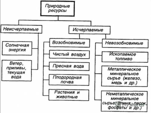 Составить схему «природные ресурсы и их виды»