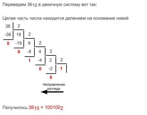 1) перевести из десятичной в двоичную : 2004 2)перевести двоичную в десятичную: 101110111 3) выполни