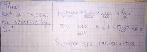 Решение на правило экологической пирамиды. продуктивность наземной растительности составляет 20 г/м^