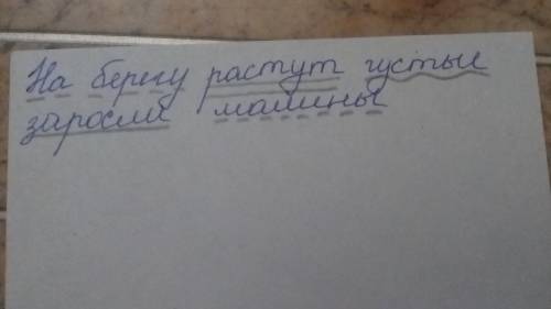 Сделайте полный сентаксический ! на берегу растут густые заросли малины. желательно 34 !