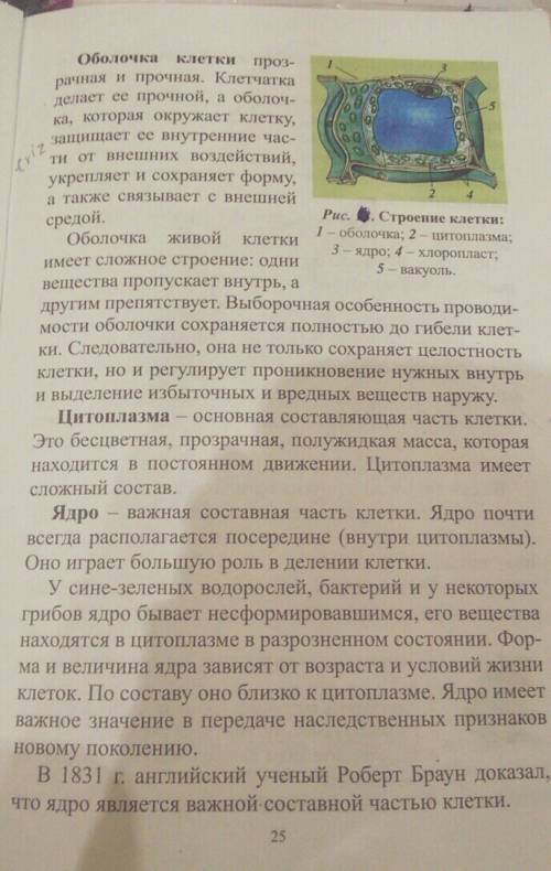 Как вам известно,главные части клетки-это: оболочка,цитопоплазма и ядро.как вы считаете ,какая из ни