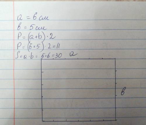Считая,что длина 1 клетки равна 1 см,начертите прямоугольник,периметр которого равен 22см,а площадь