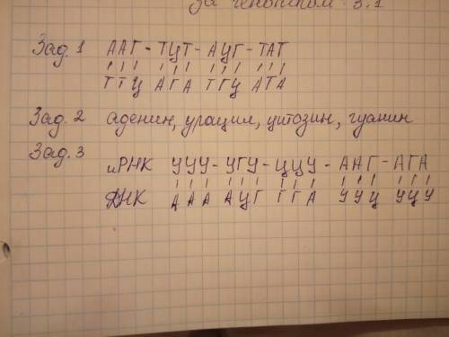 Практическое занятие 1 1. название темы: «основы цитологии. решение ». 2. учебные цели: закрепить зн