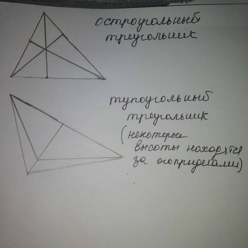 Нарисуйте два треугольника: тупоугольный и остроугольный. в обоих треугольниках проведите все три вы