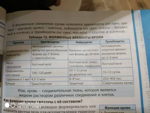 Особенности строения, функции, содержание в 1 мм3 крови, продолжительность жизни - для эритроцитов,