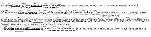 Сделать синтаксический разбор всех предложений 91 1.в тайге водятся хищные животные волки,рыси,медве