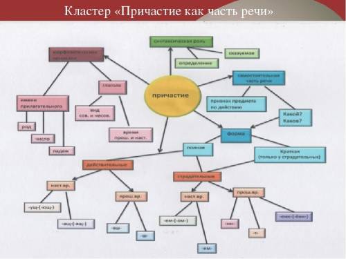 40 полный кластер по членам предложения