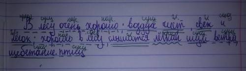 Синтактический разбор предлажения : в лесу хорошо; воздух чист, свеж и легок; хорошо в лесу ,слышитс