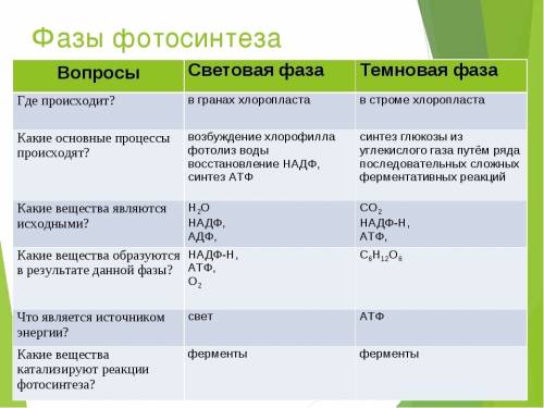 Составить подробную схему механизма фотосинтеза, описать фазы.