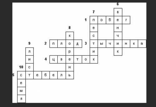 100 составьте кроссворд и 15 слов по темам органы растений стебель лист корень побег выбрать слова и