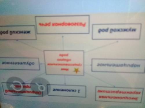 Составьте кластер на тему имена существительные общего рода