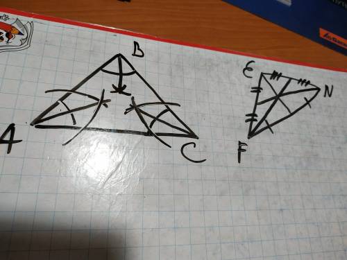 Постройте биссектрисы треугольника и медианы другого треугольника с циркуля и линейки(желательно фот