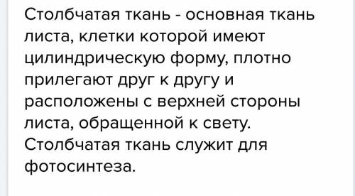 Опишите особенности строения столбчатай ткани, назови её функции