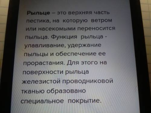 Какую функцию выполняет столбик пестика, рыльце пестика и завязь пестика?