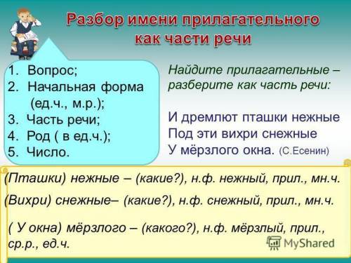 Выпишите словосочетания имя прилагательное+ имя существительное.разберите имена прилагательные