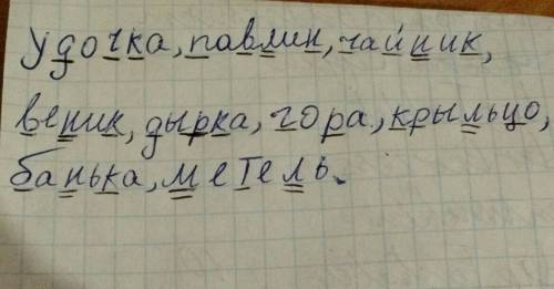 Подчеркни одной чертой твёрдые согласные , а двумя мягкие : удочка, павлин, чайник , веник ,дырка, г