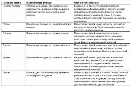 Таблица органы дыхания. название органа,выполняемые функции,особенности строения.