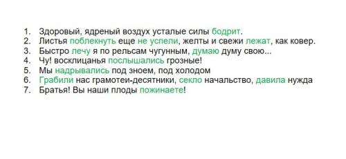 Выписать из н. а. некрасов 'железная дорога' 7 предложений с глаголами в изъявительном