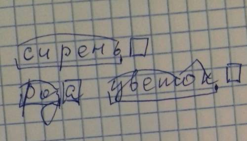 Слова роза цветок и сирень сделать разбор 1,2,3,4