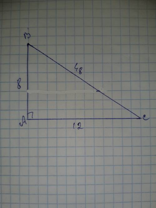 Катет прямоугольного треугольника 12 и 8 см. найдите площадь треугольника