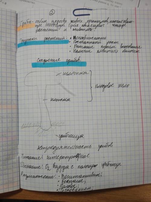 Признаки грибов и их значение в природе . ответьте 43