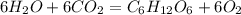 6H_{2}O + 6CO_{2} = C_{6} H_{12} O_{6} + 6O_{2}