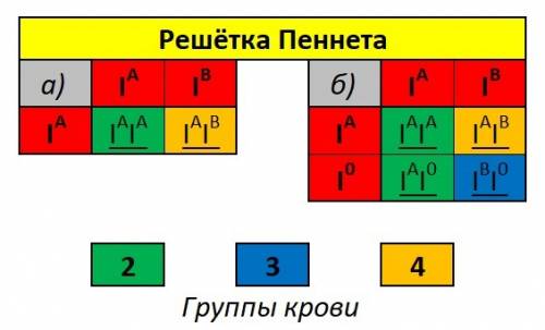 Мать имеет 2 группу крови а отец 4 группу крови. какая будет группа крови у детей