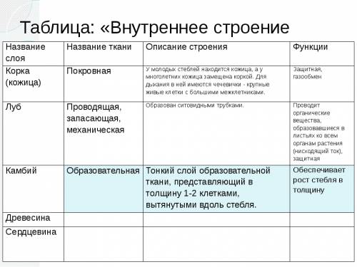 Таблица по биологии 6 класс внутреннее строение стебля слои, части,описание, функция