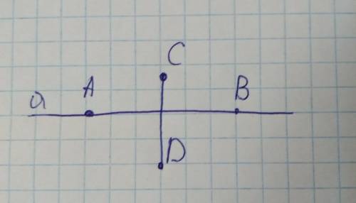 Отметьте точки а и в лежащие на прямой ‘а’. отметьте точки с и d не лежащие на одной прямой ‘а’. про