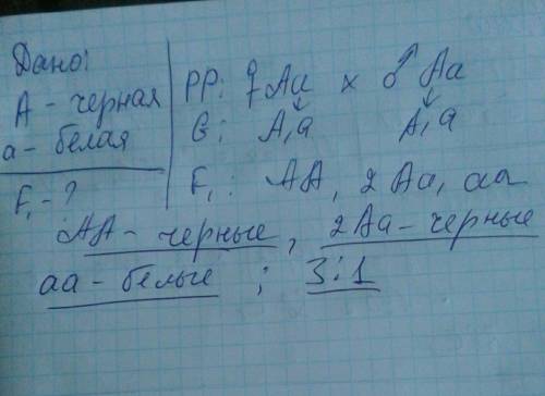 Черная окраска шерсти доминирует над белой.какого расщепления по фенотипу следует ожидать от скрещив