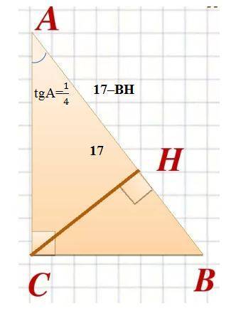 Втреугольнике abc угол с равен 90 градусов,ch - высота,ab = 17,tg a=1/4.найдите bh.