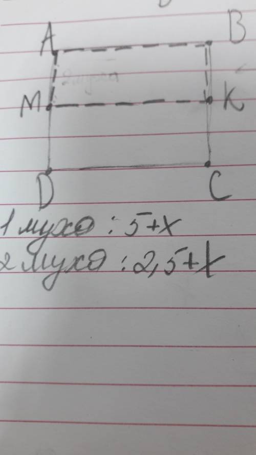 На листе бумаги нарисован большой квадрат abcd.точкт k и m-середины сторон bc и ad соответственно.по