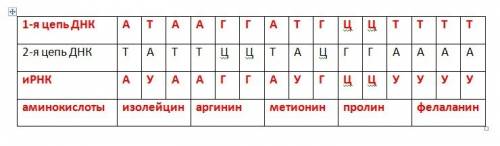 Одна из цепей днк имеет последовательность нуклеотидов . определите последовательность нуклеотидов н