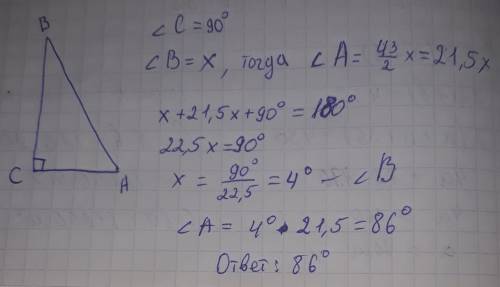 Один острый угол прямоугольного треугольника в 43/2раза больше другого. найдите больший острый угол.