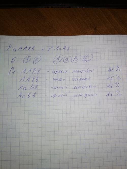 Цветок (женский) аабб скрестили (мужской) аабб какой будет f1 ? a-черный а-белый б-махровый б-гладки