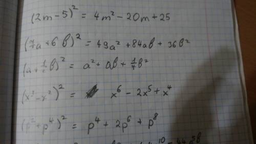 (2m-5)^2 , (7a+6b)^2 , (a+1/2b)^2 , (x^3-x^2)^2 , (p^2+p^4)^2 , (-11b+2a^5)^2 , (12xy^2-x^2y)^2