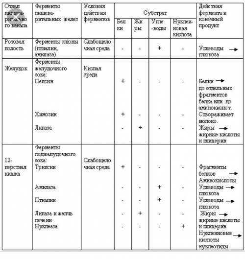 Ферменты пищеварительной системы таблица 1)название ферментов 2)где действует 3)какие вещества 4)про